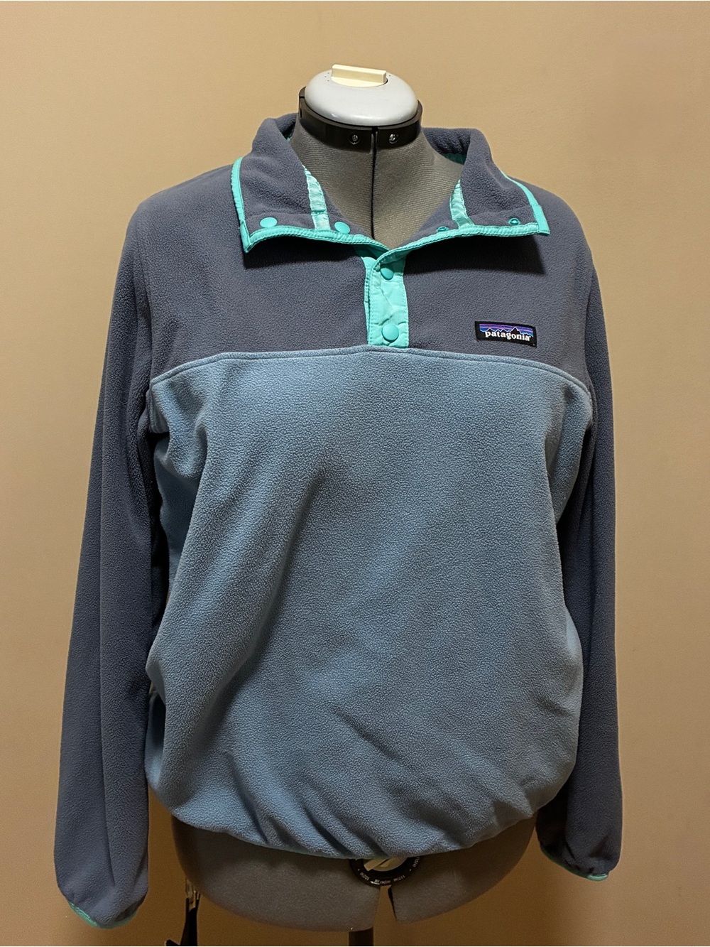 Patagonia Women's Two-Tone Fleece Pullover - Blue with Teal Trim